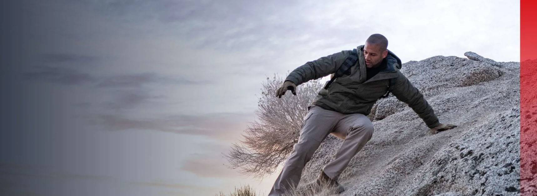 Stoic -Stoic cvnhcvn